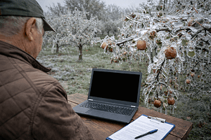 Jegesedett gyümölcsfák között álló gazdálkodó, asztalon laptop és dokumentumok.